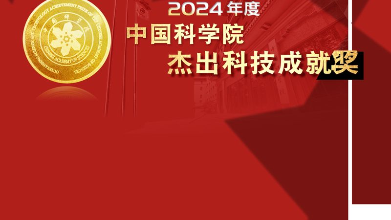 数据仓库分层设计：构建高效数据处理的基石**